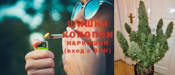 прущий лед Ельня