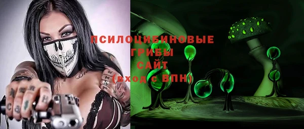 амф Елабуга