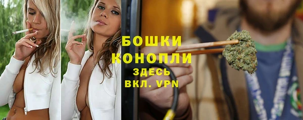 прущий лед Ельня