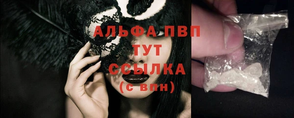стаф Елизово