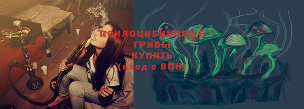 прущий лед Ельня