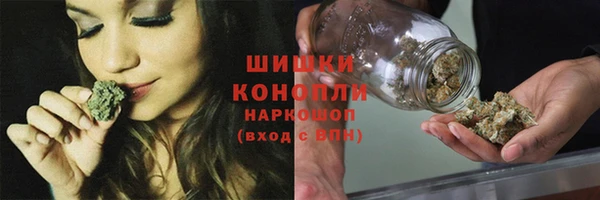 стаф Елизово