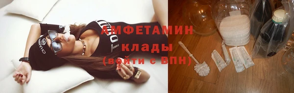 стаф Елизово