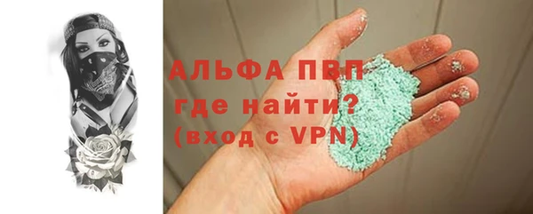 стаф Елизово