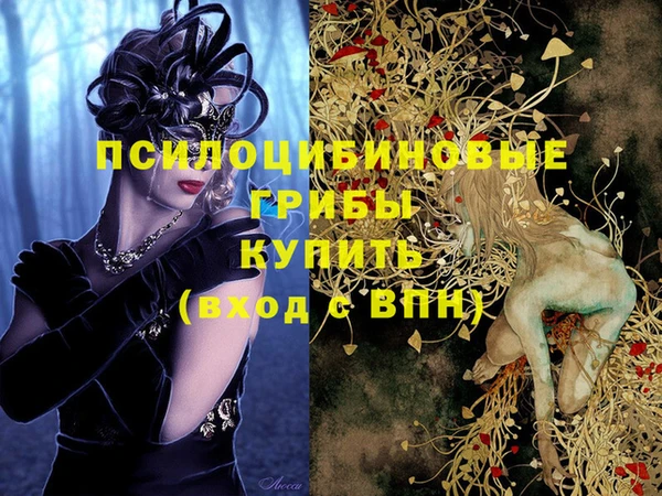 прущий лед Ельня