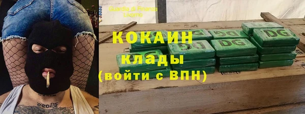 стаф Елизово