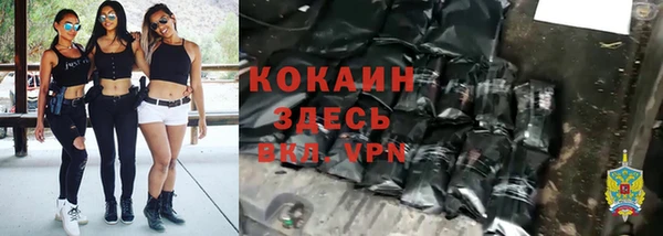 стаф Елизово