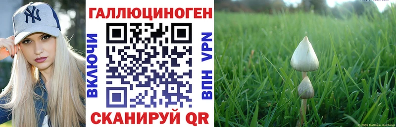 кракен tor  Избербаш  Галлюциногенные грибы Psilocybe  купить закладку 